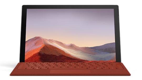 东丽清洁和维护 Surface